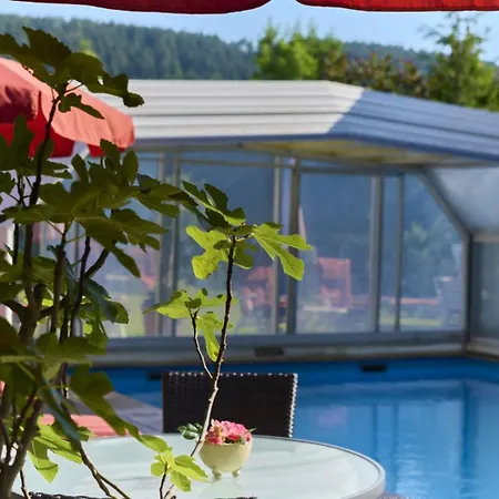 加尼布赫妮霍夫酒店 3* 沃尔特湖畔韦尔登