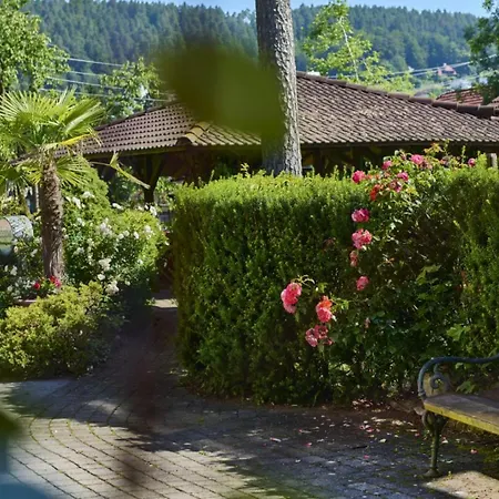 Garni Buchenhof 3*
